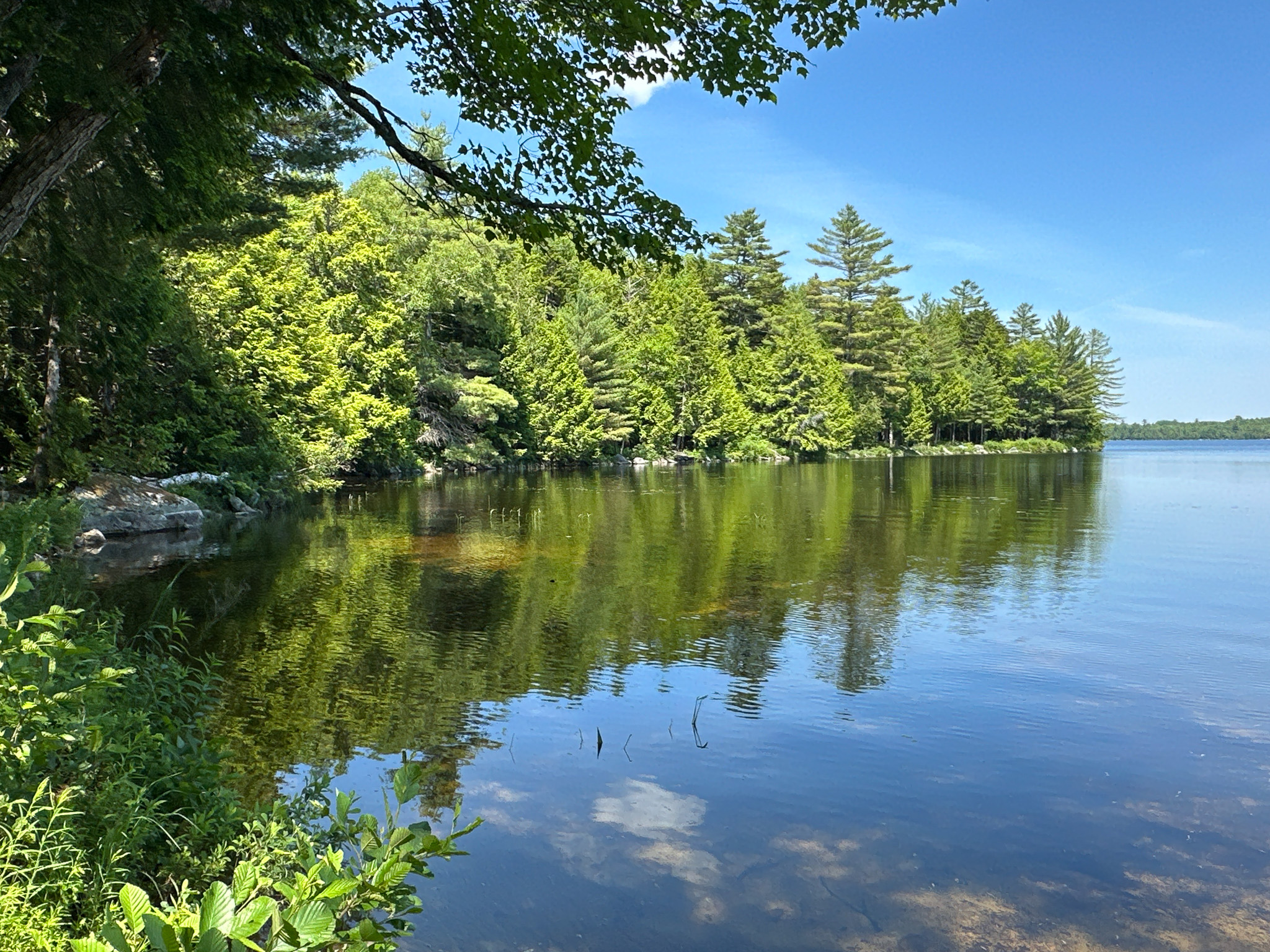 Lakefront Land for Sale – 12.52 Acres with 355 Feet of Shoreline