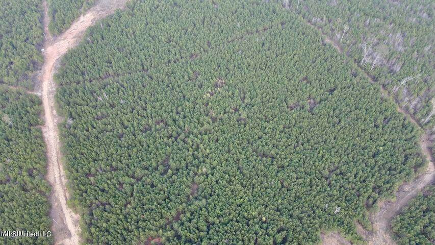 52 Acre Homesite Madison County Camden, MS