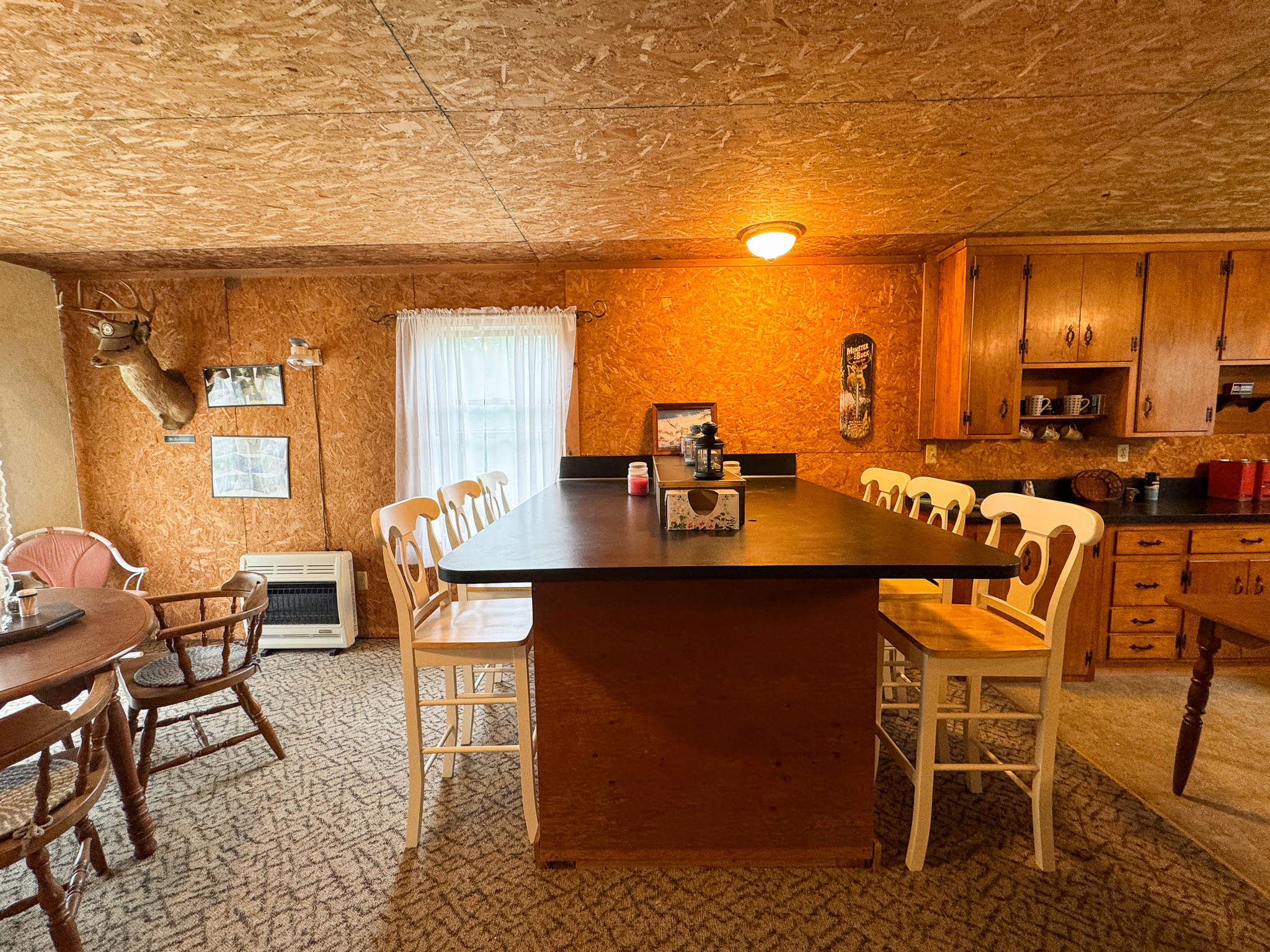 Off-Grid Maine Cabin for Sale | 26 Acres with Stream Frontage