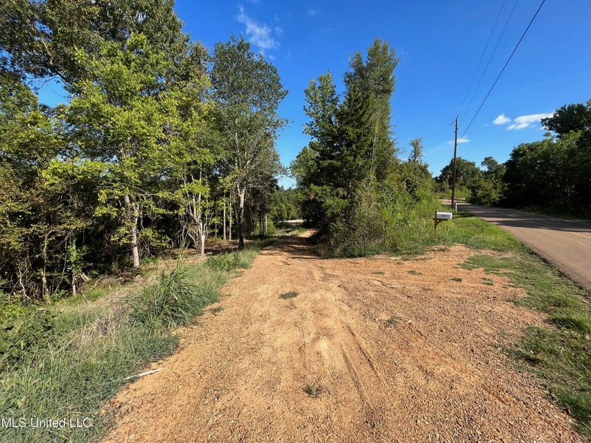 60 Acres For Sale In Yazoo County, MS