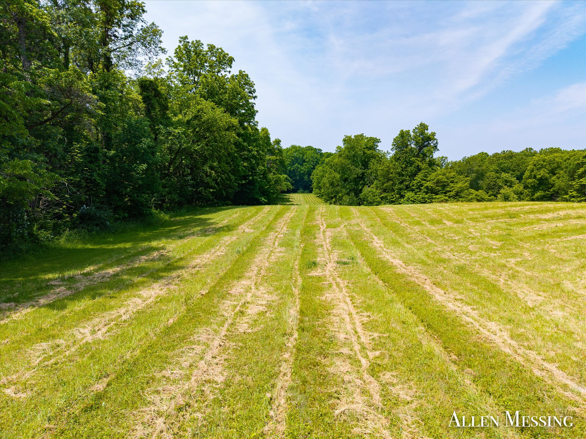 31+ Acre Property Excellent Hunting Habitat Allegan Cty MI