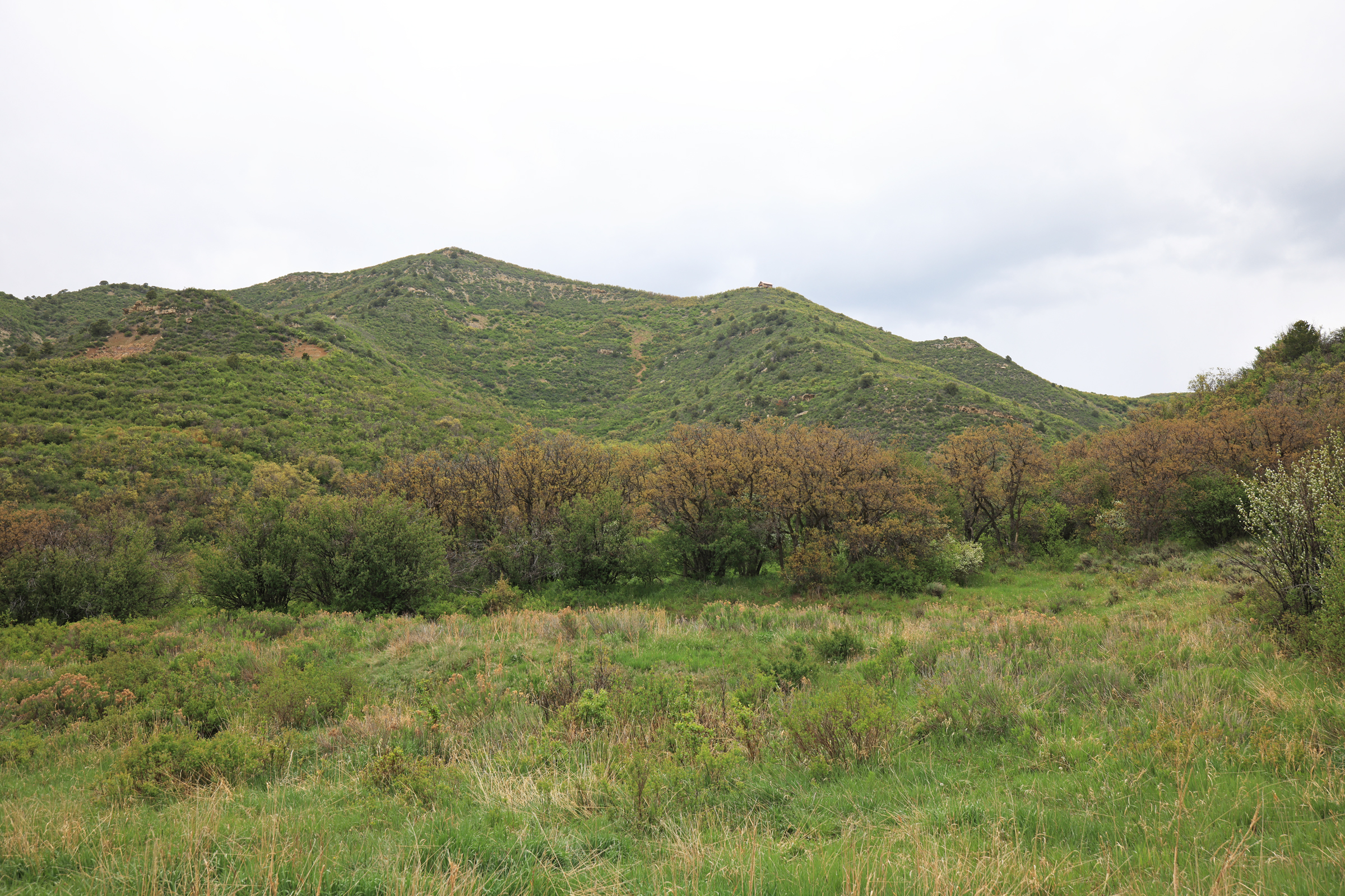 Colorado Recreation and Hunting Property