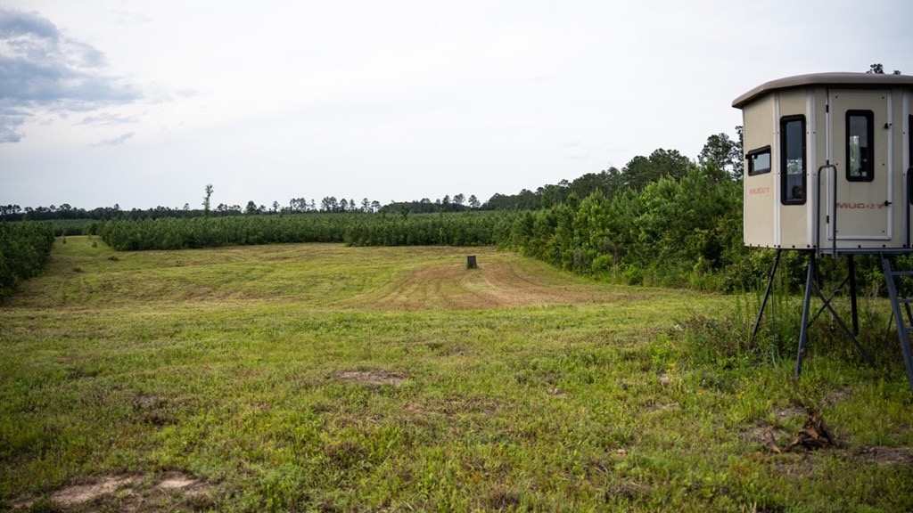 Mississippi Hunting Land – Easy 88 in Magnolia/Osyka