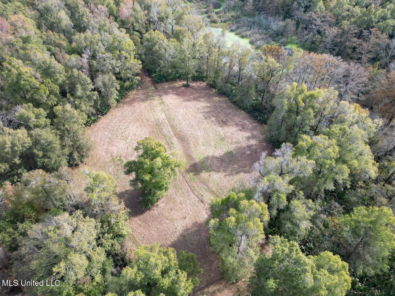 Tensas Parish LA – The Glade Hunting Property