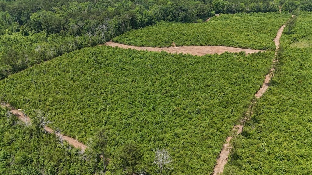 Small Hunting Tract FOR SALE in Amite County, MS