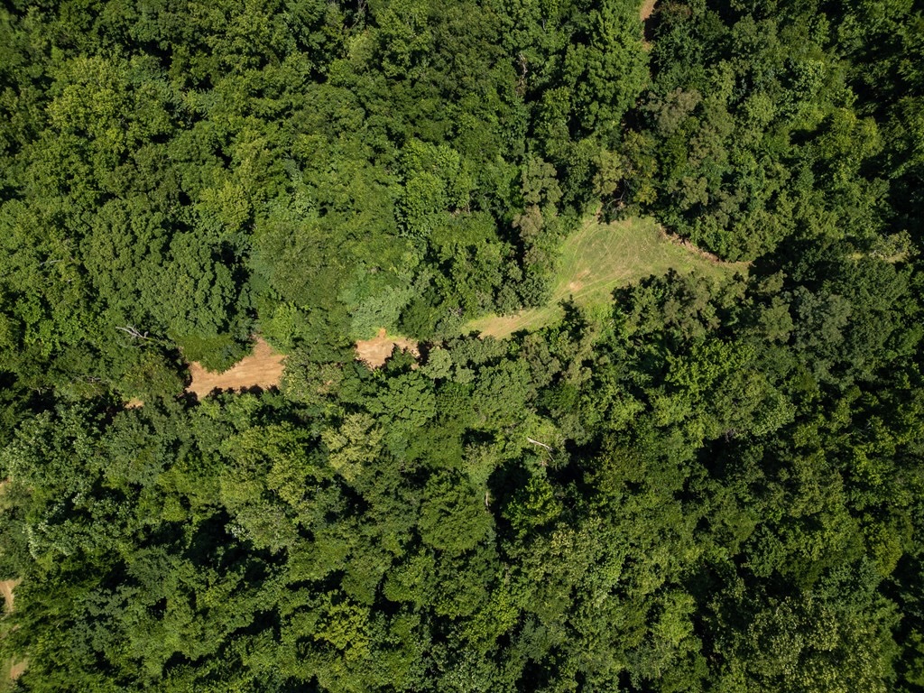 Hunting Land in Claiborne County, MS – Lonesome Pine
