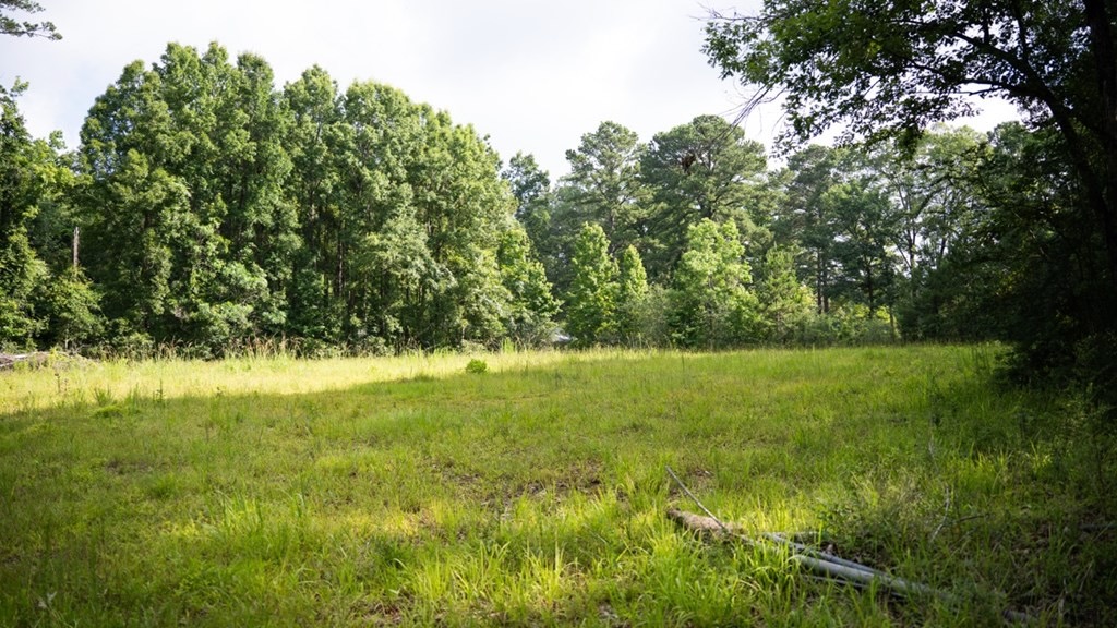 Clinton 30 Acres for Sale – Rural Land Near Baton Rouge, LA