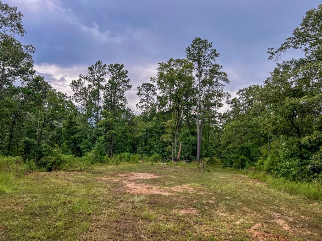 Hunting Land for Sale in Hinds County, MS