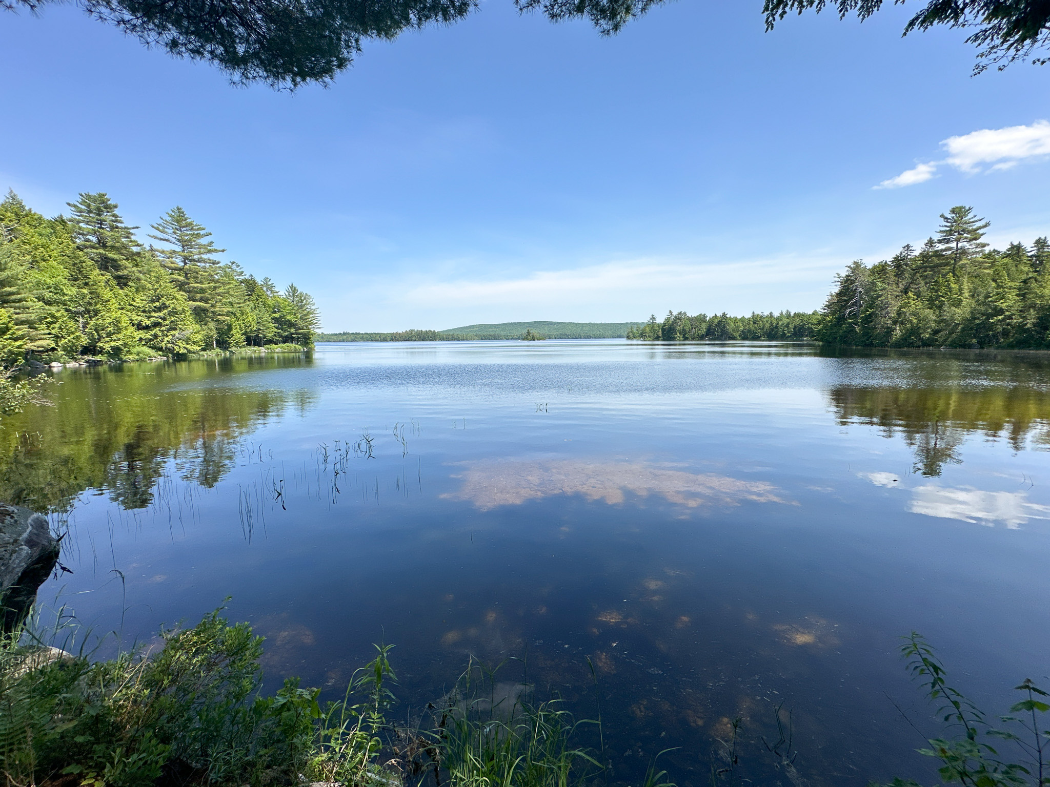 Lakefront Land for Sale – 12.52 Acres with 355 Feet of Shoreline