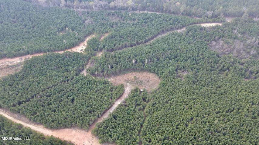 52 Acre Homesite Madison County Camden, MS