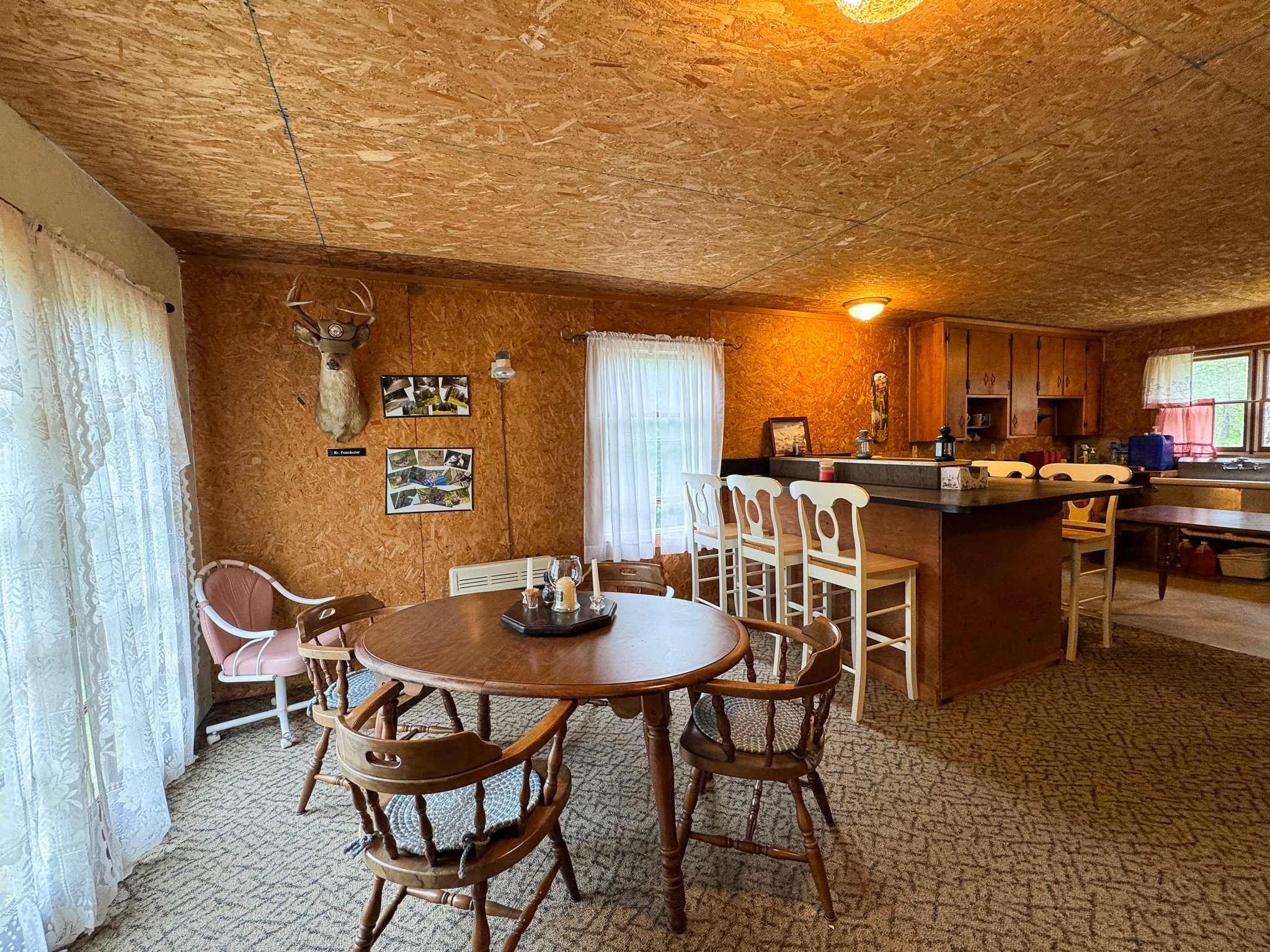 Off-Grid Maine Cabin for Sale | 26 Acres with Stream Frontage