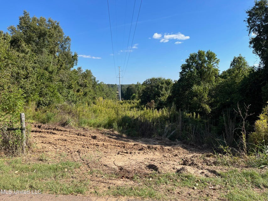 60 Acres For Sale In Yazoo County, MS
