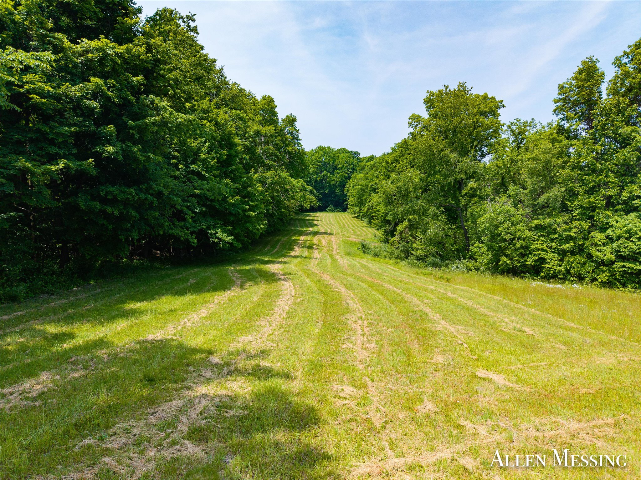 31+ Acre Property Excellent Hunting Habitat Allegan Cty MI