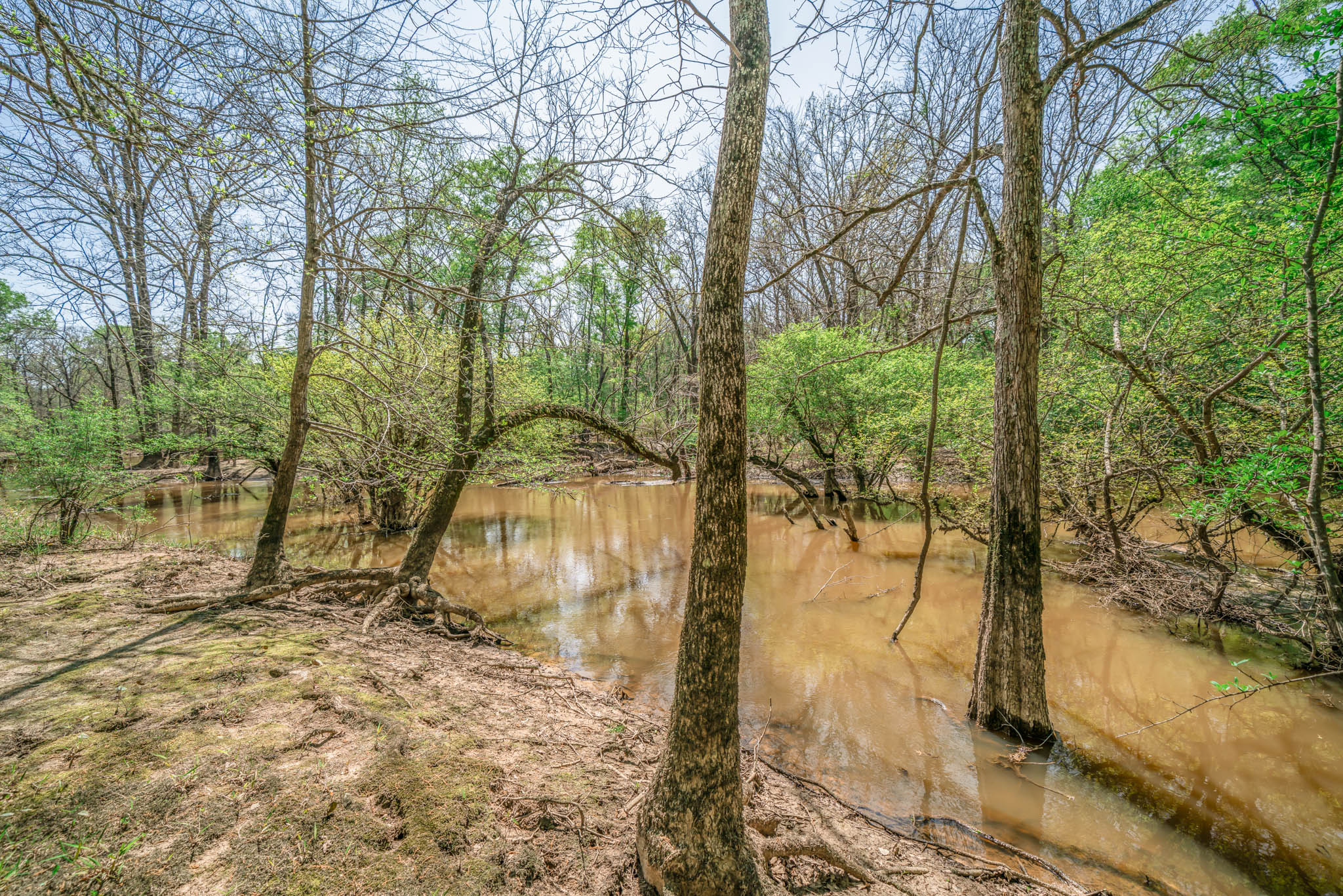 Upshur County Whitetail and Duck Hunting Property