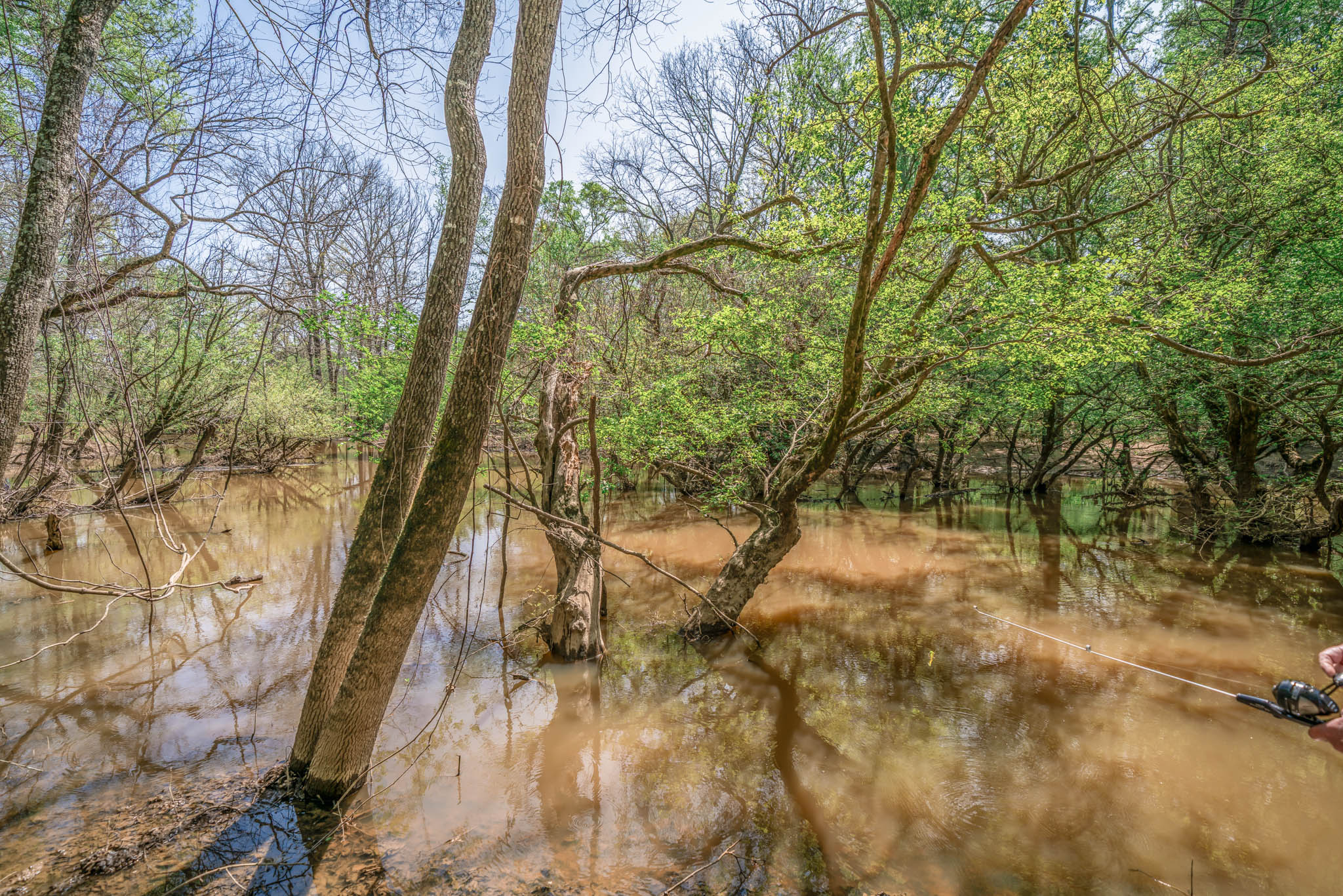Upshur County Whitetail and Duck Hunting Property