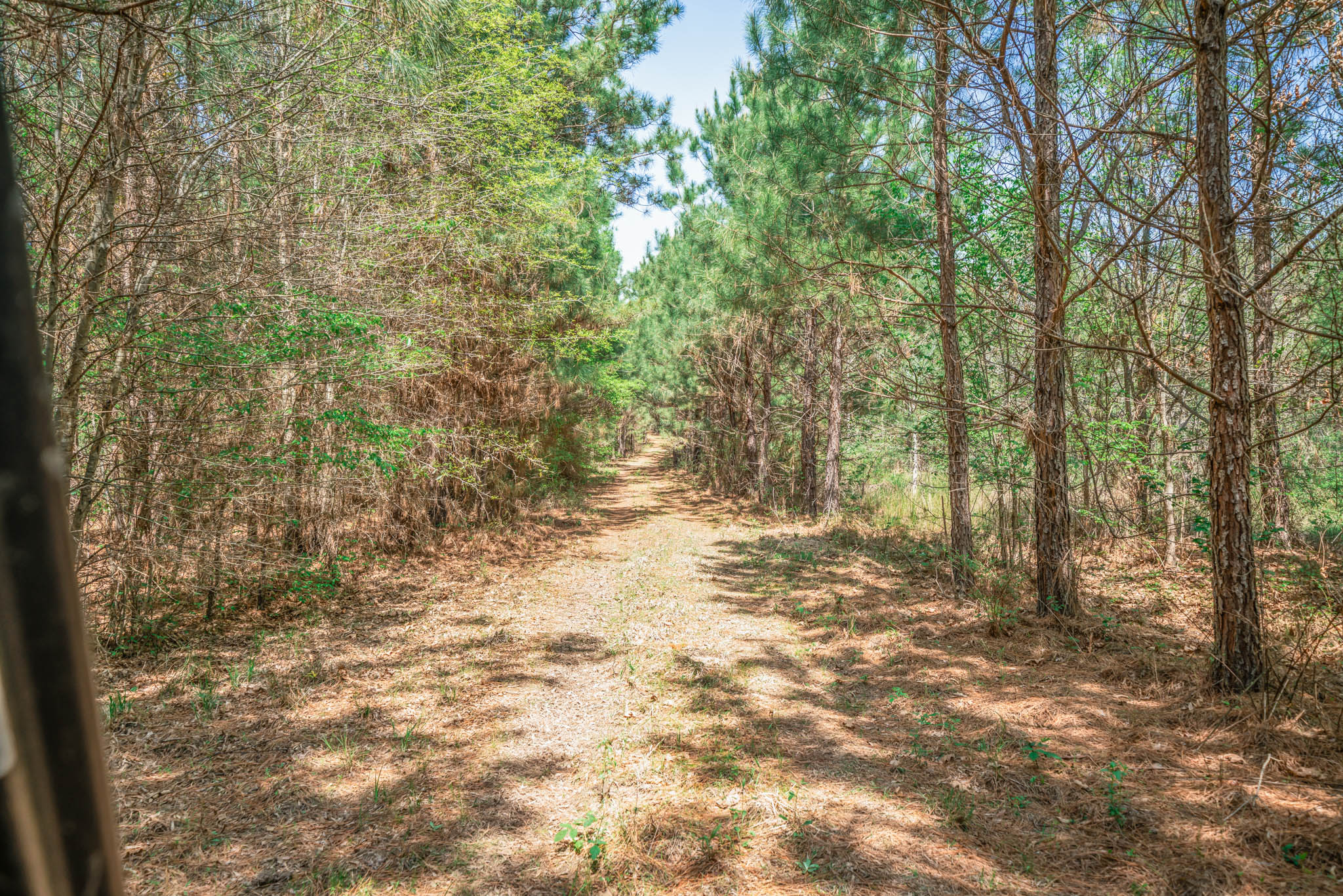 Upshur County Whitetail and Duck Hunting Property