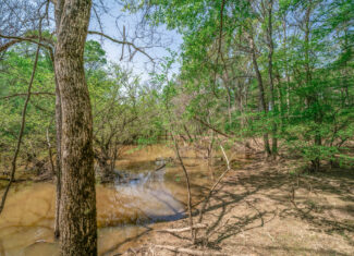 Upshur County Whitetail and Duck Hunting Property