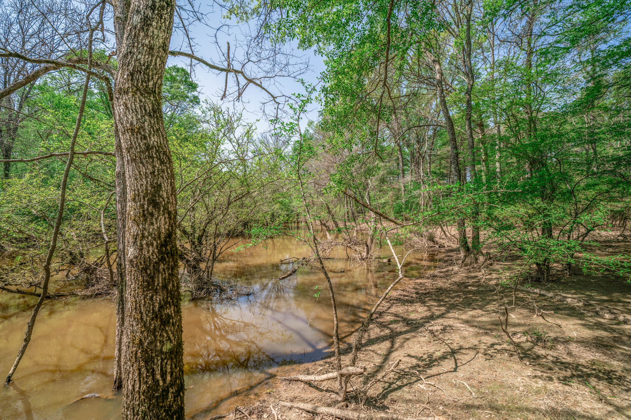 Upshur County Whitetail and Duck Hunting Property