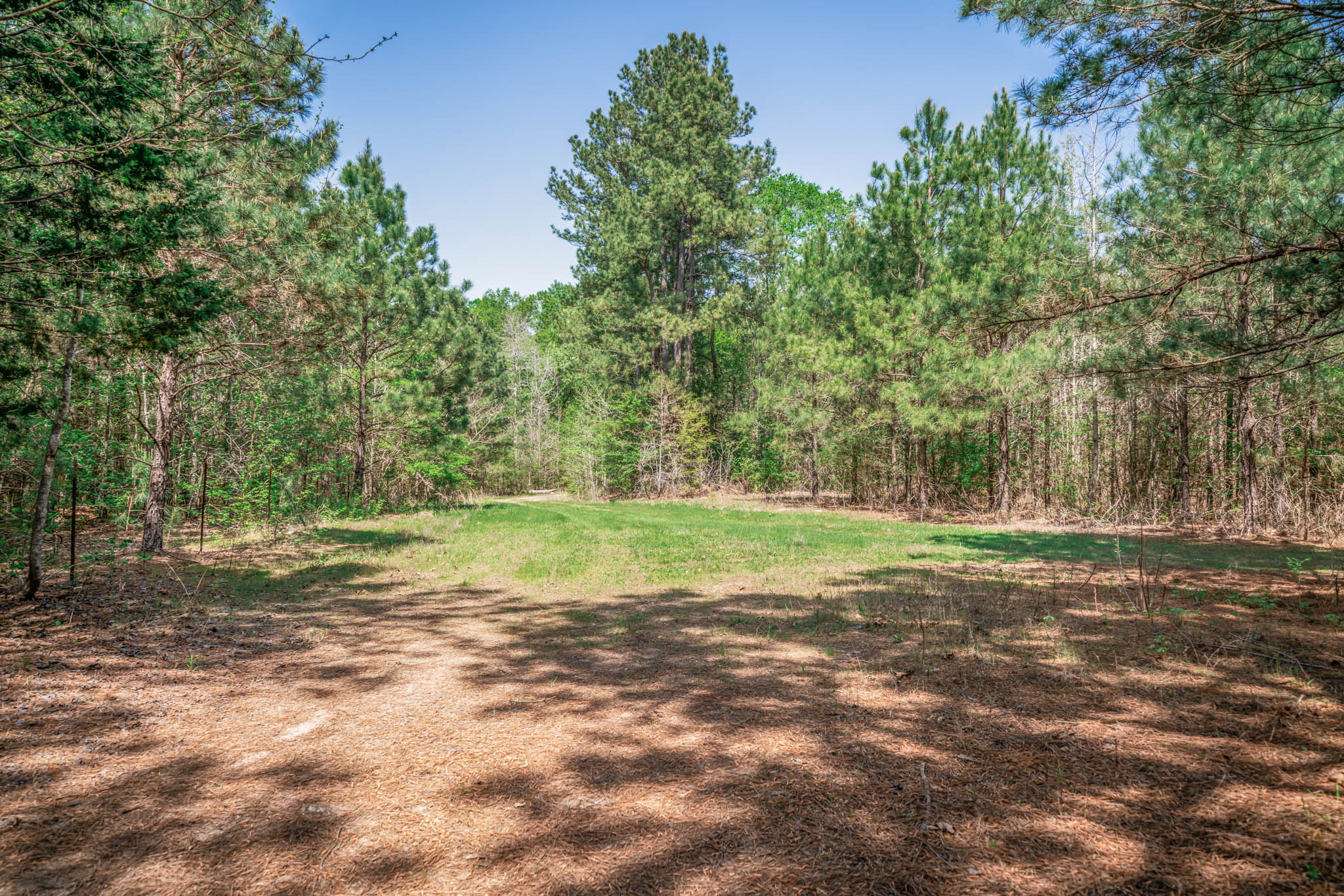 Upshur County Whitetail and Duck Hunting Property