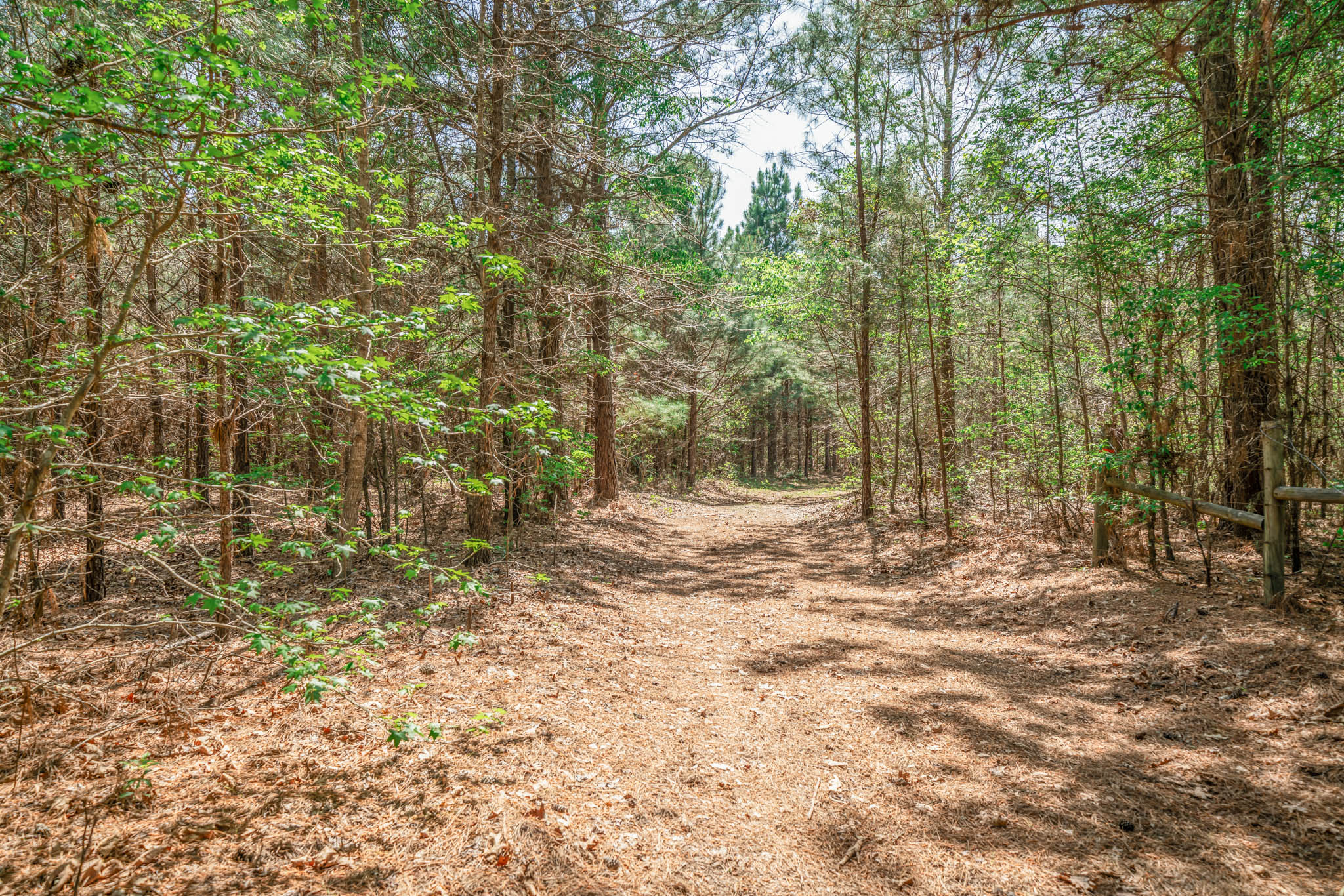 Upshur County Whitetail and Duck Hunting Property