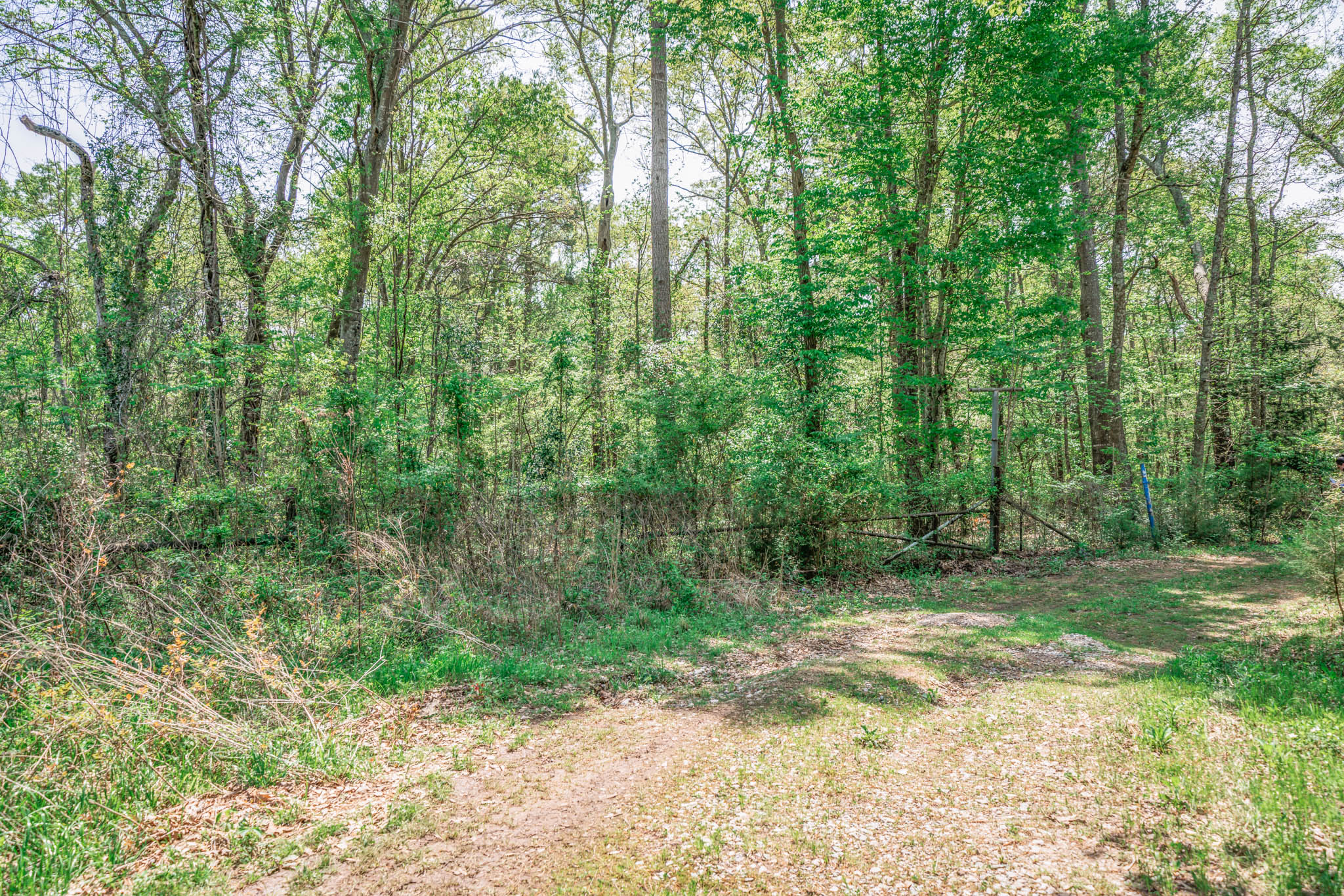 Upshur County Whitetail and Duck Hunting Property