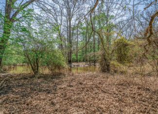 Upshur County Whitetail and Duck Hunting Property