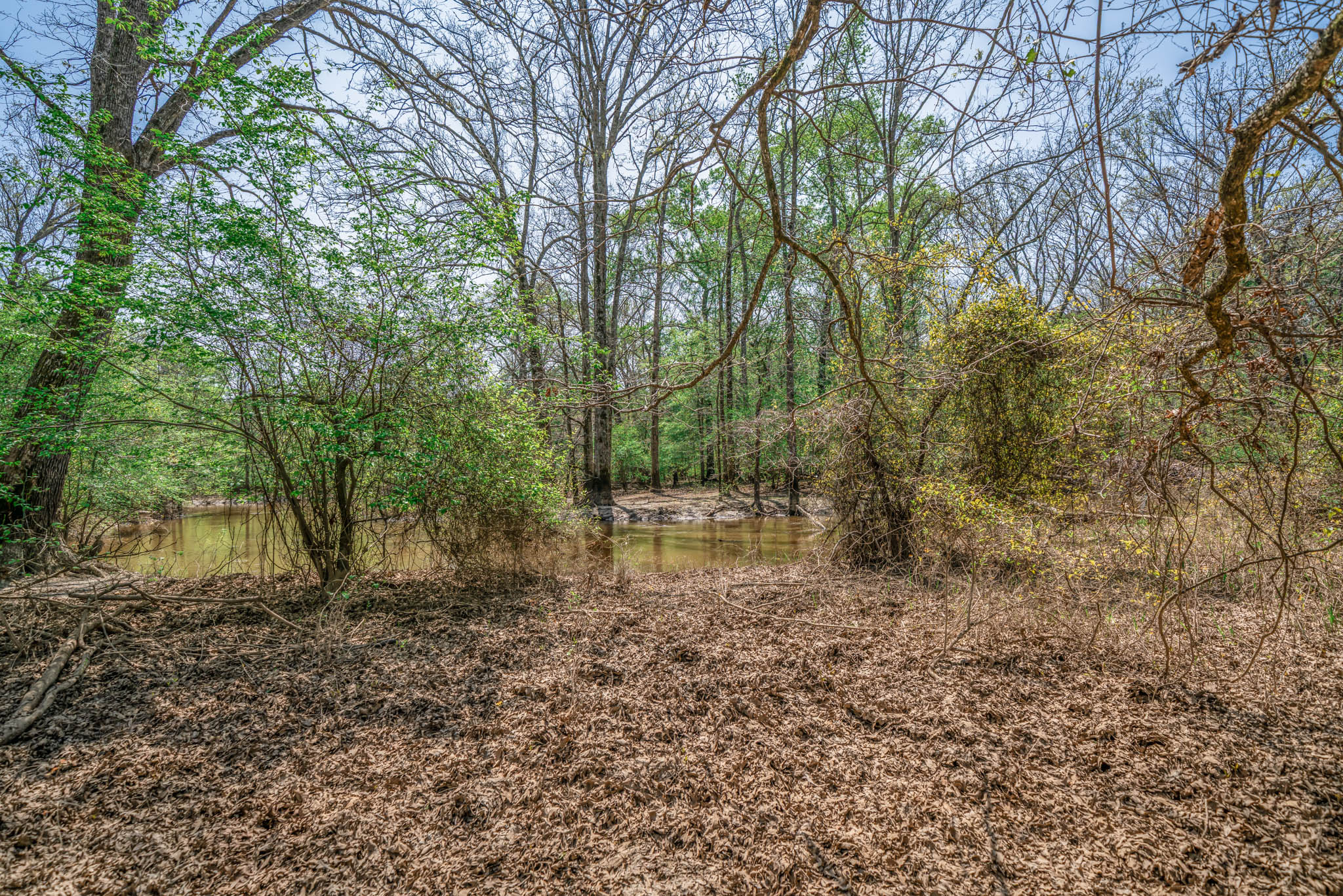 Upshur County Whitetail and Duck Hunting Property