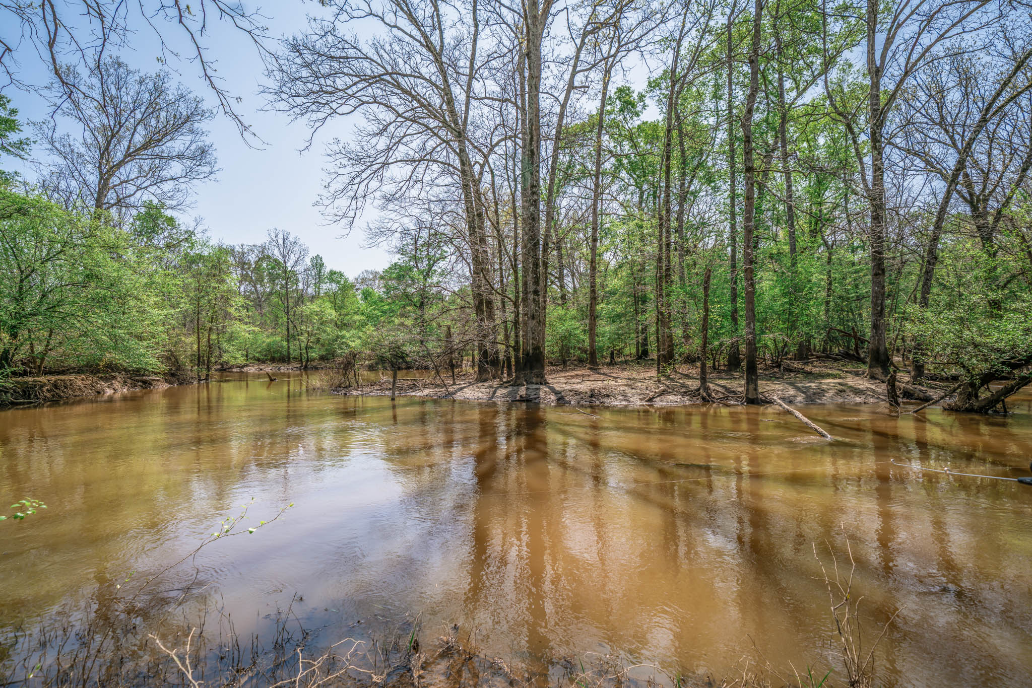 Upshur County Whitetail and Duck Hunting Property