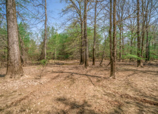 Upshur County Whitetail and Duck Hunting Property