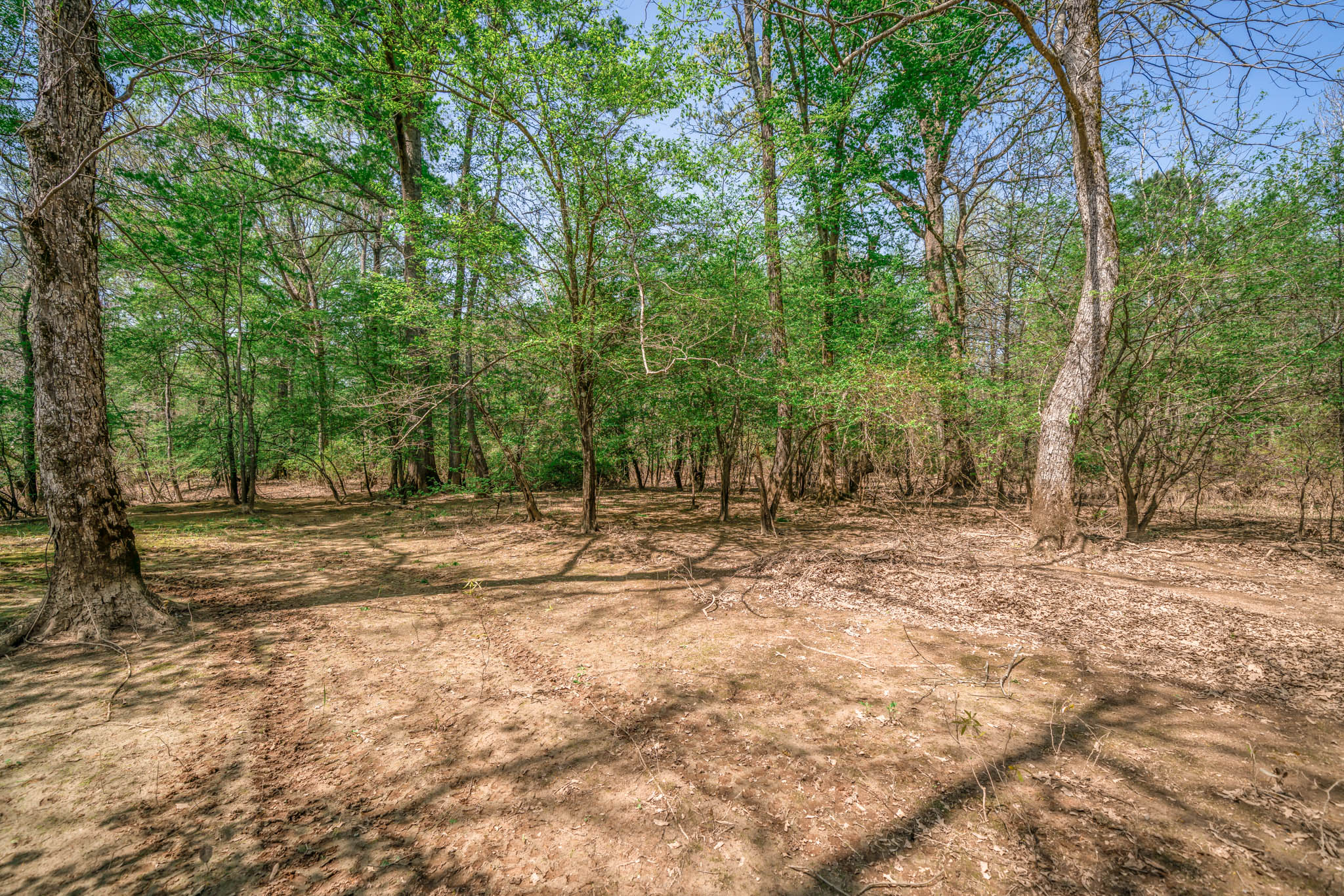 Upshur County Whitetail and Duck Hunting Property