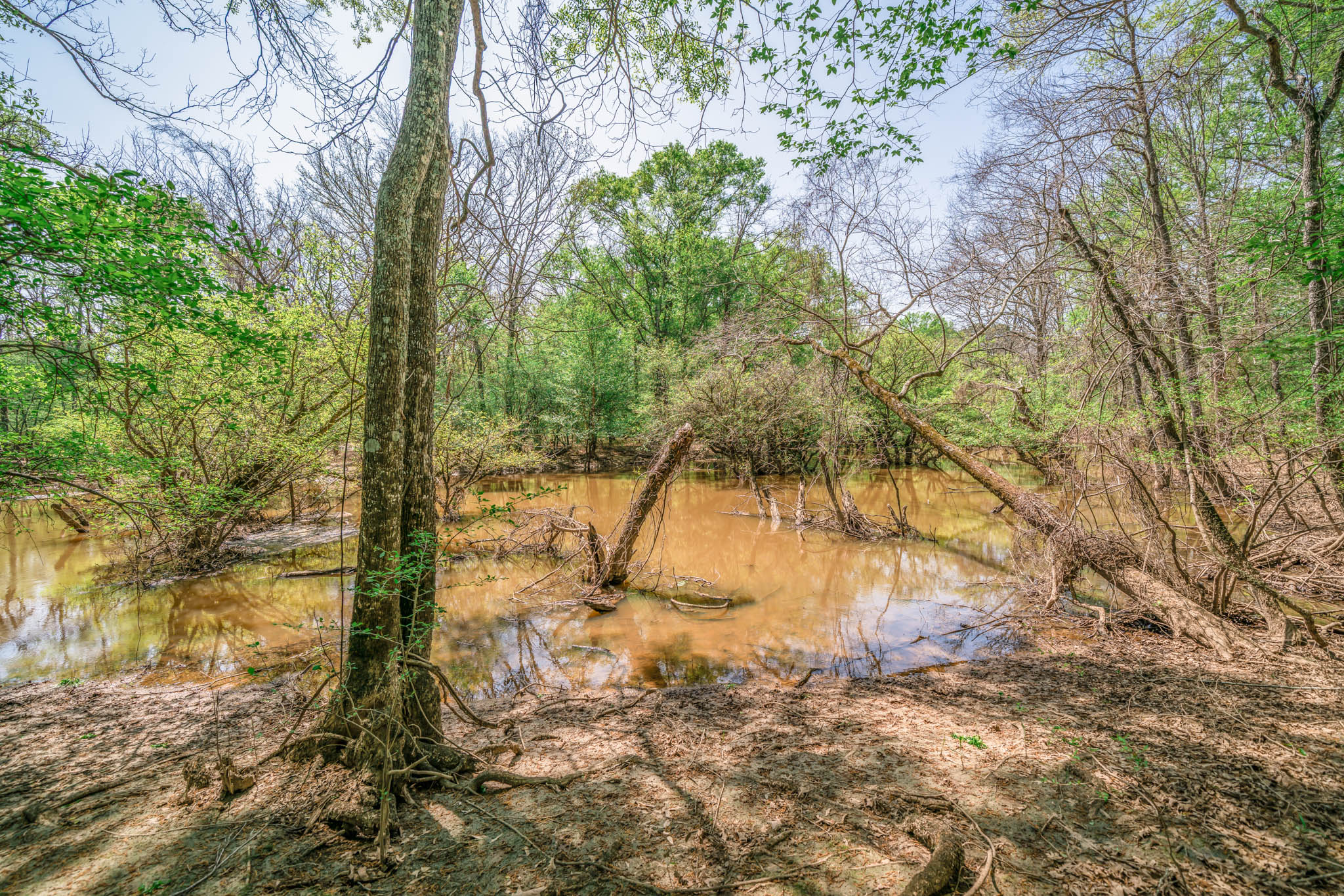 Upshur County Whitetail and Duck Hunting Property