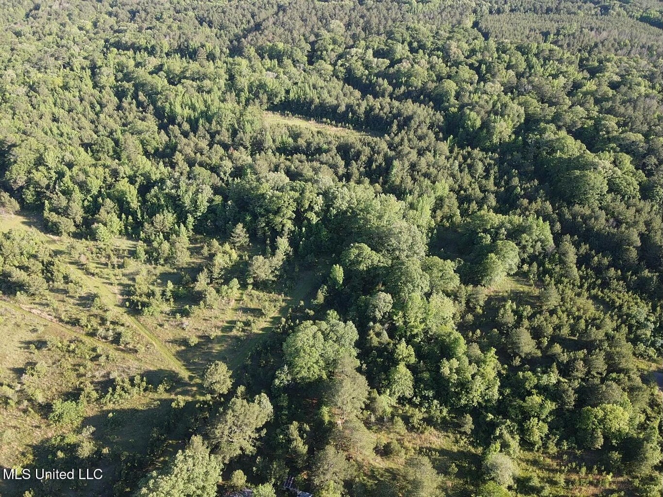 Great Homesite and Hunting Tract in Hermanville, MS