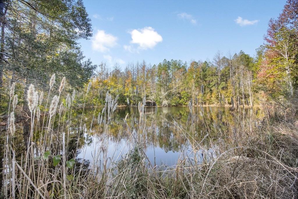 Land For Sale in Amite County, MS