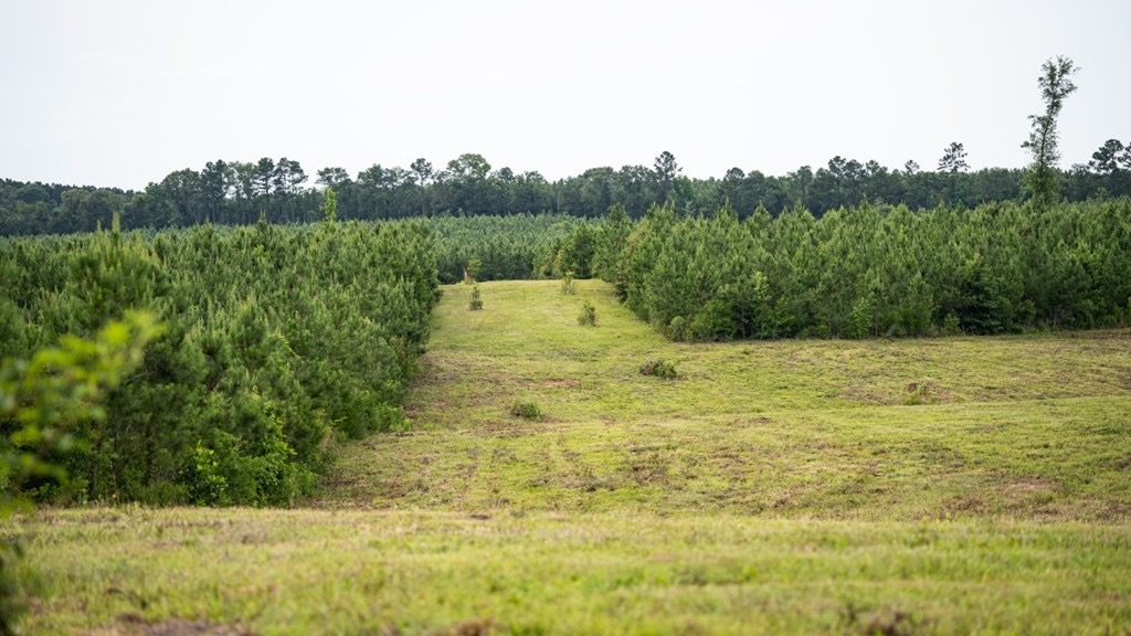 Mississippi Hunting Land – Easy 88 in Magnolia/Osyka