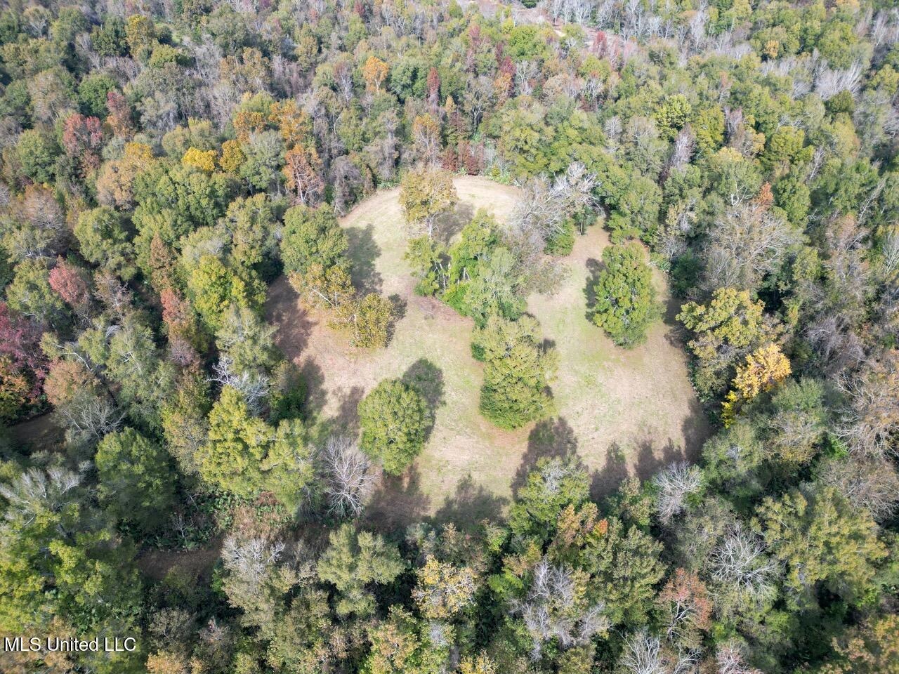 Tensas Parish LA – The Glade Hunting Property