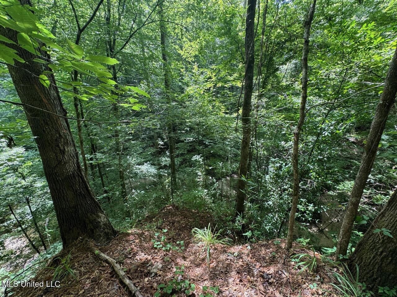 28+- Acres for Sale in Natchez, MS