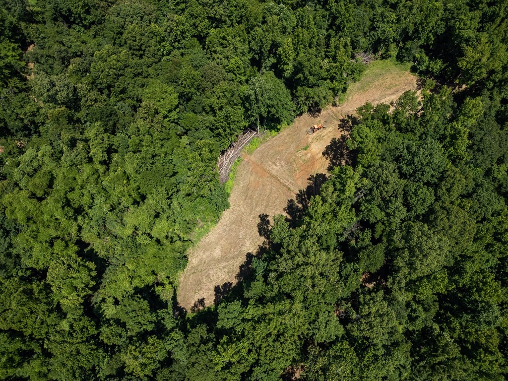 Hunting Land in Claiborne County, MS – Lonesome Pine