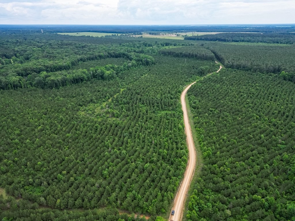 Hunting Land in Morehouse Parish, LA – Cypress Bayou 85