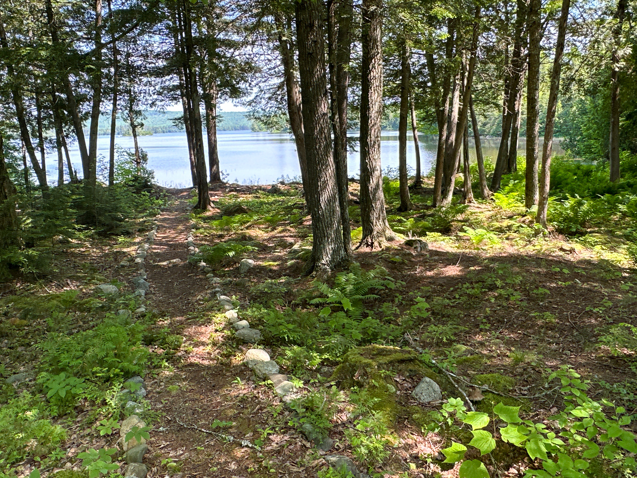 Lakefront Land for Sale – 12.52 Acres with 355 Feet of Shoreline