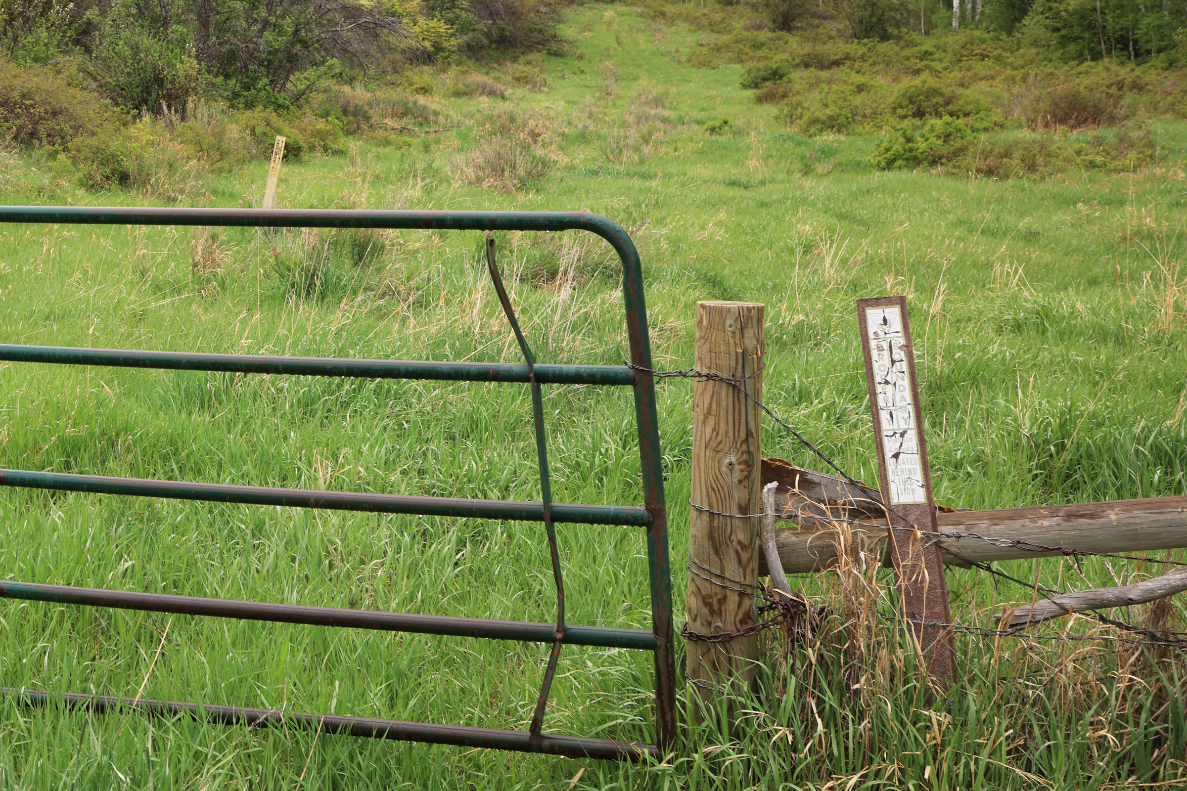Colorado Recreation and Hunting Property