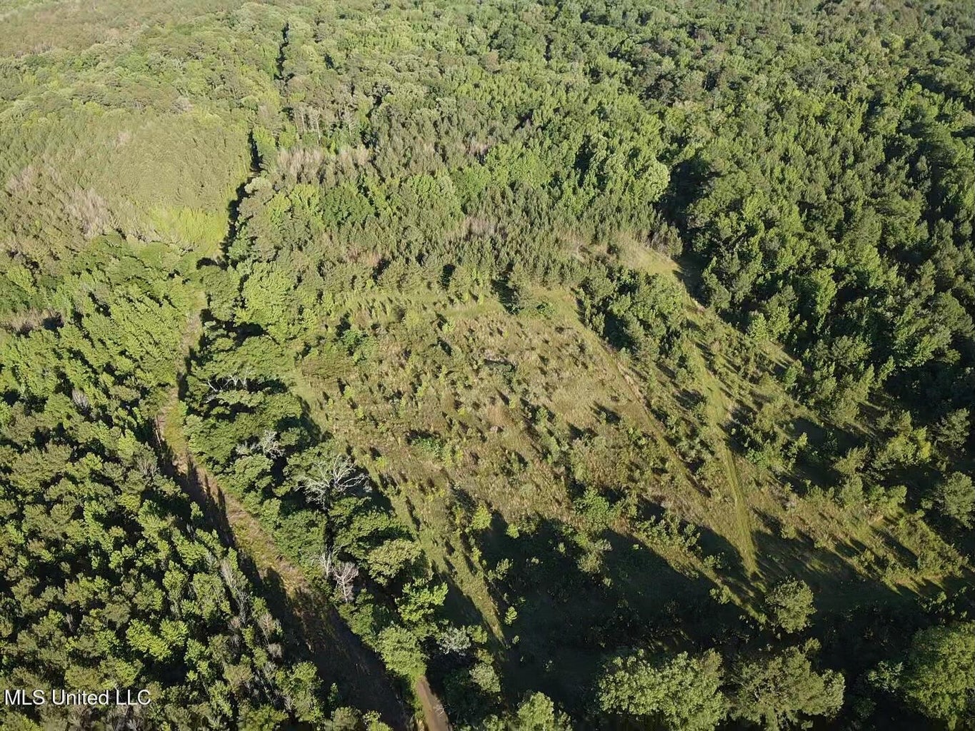 Great Homesite and Hunting Tract in Hermanville, MS