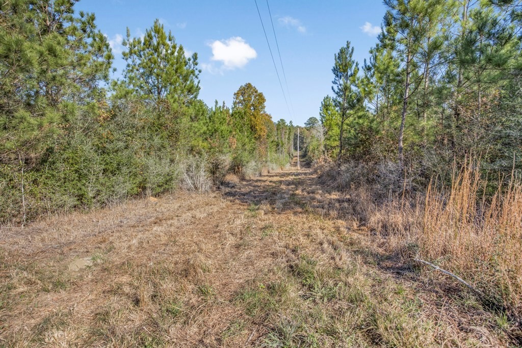Land For Sale in Amite County, MS