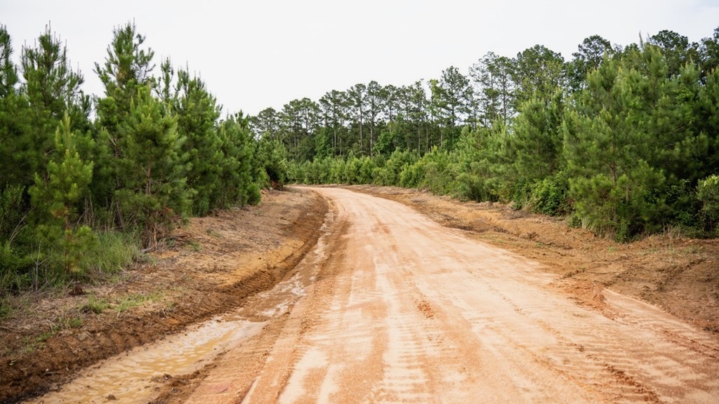 Mississippi Hunting Land – Easy 88 in Magnolia/Osyka