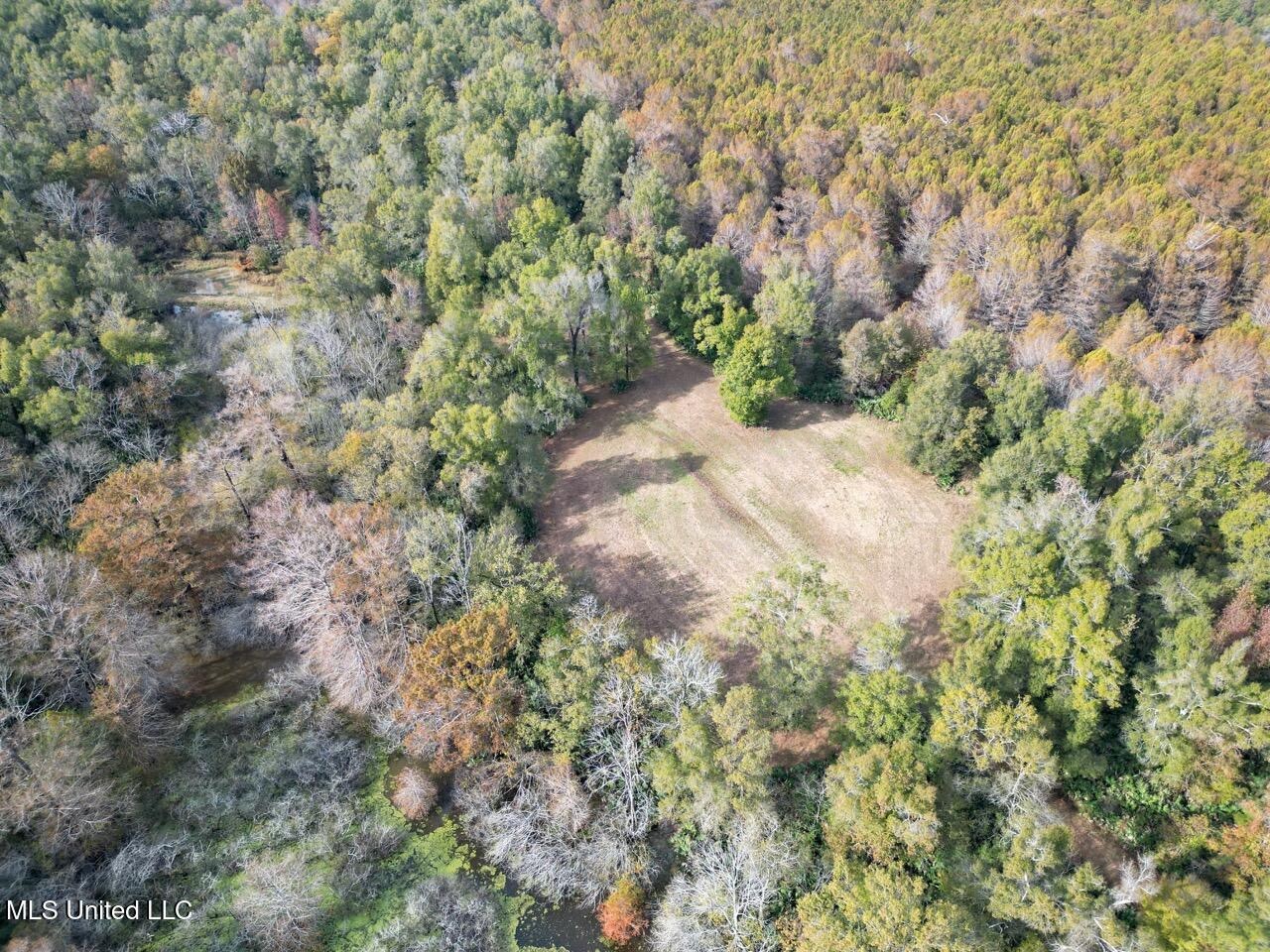 Tensas Parish LA – The Glade Hunting Property