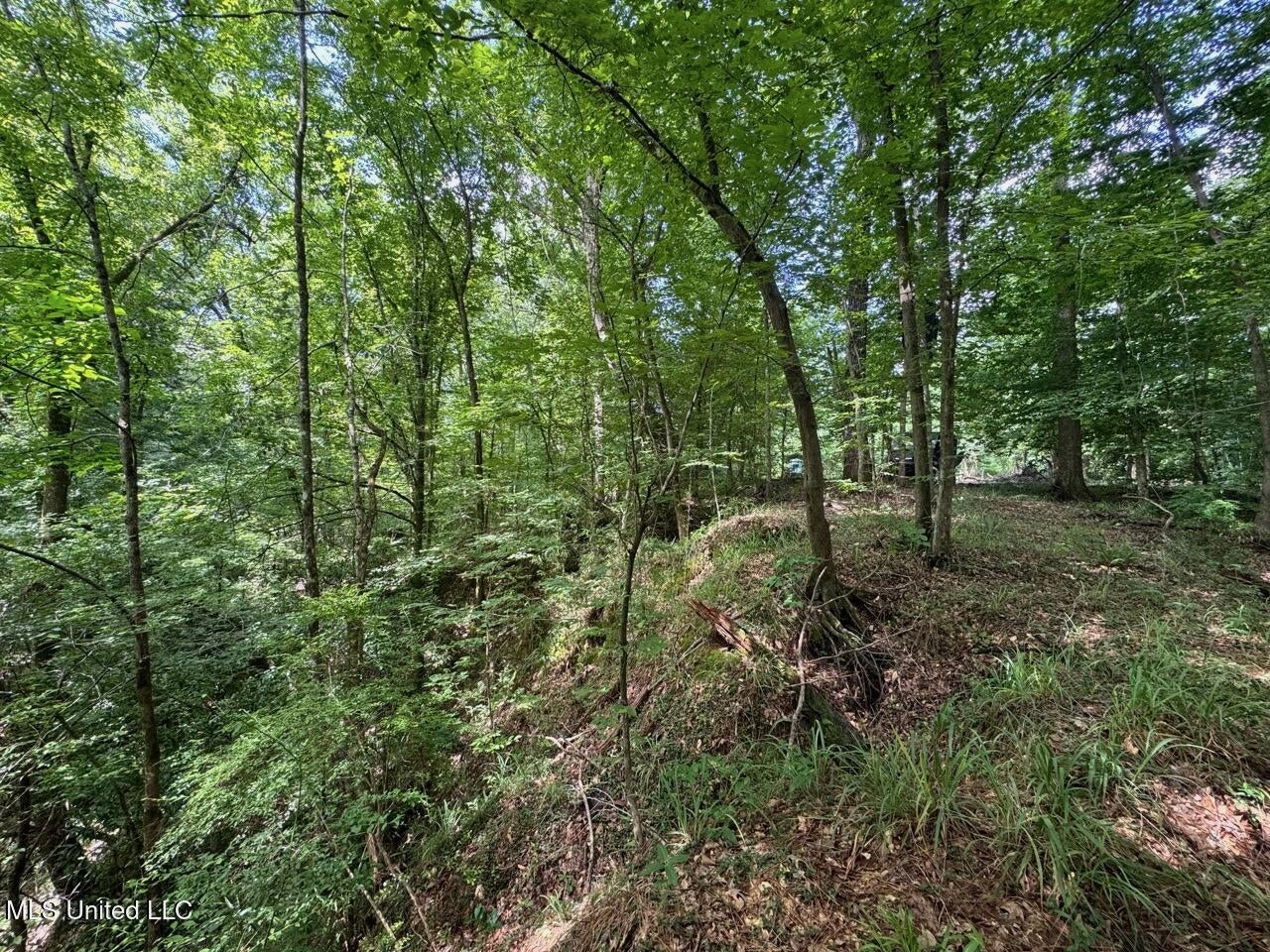 28+- Acres for Sale in Natchez, MS