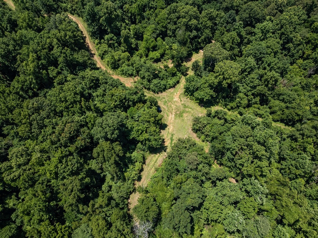 Hunting Land in Claiborne County, MS – Lonesome Pine
