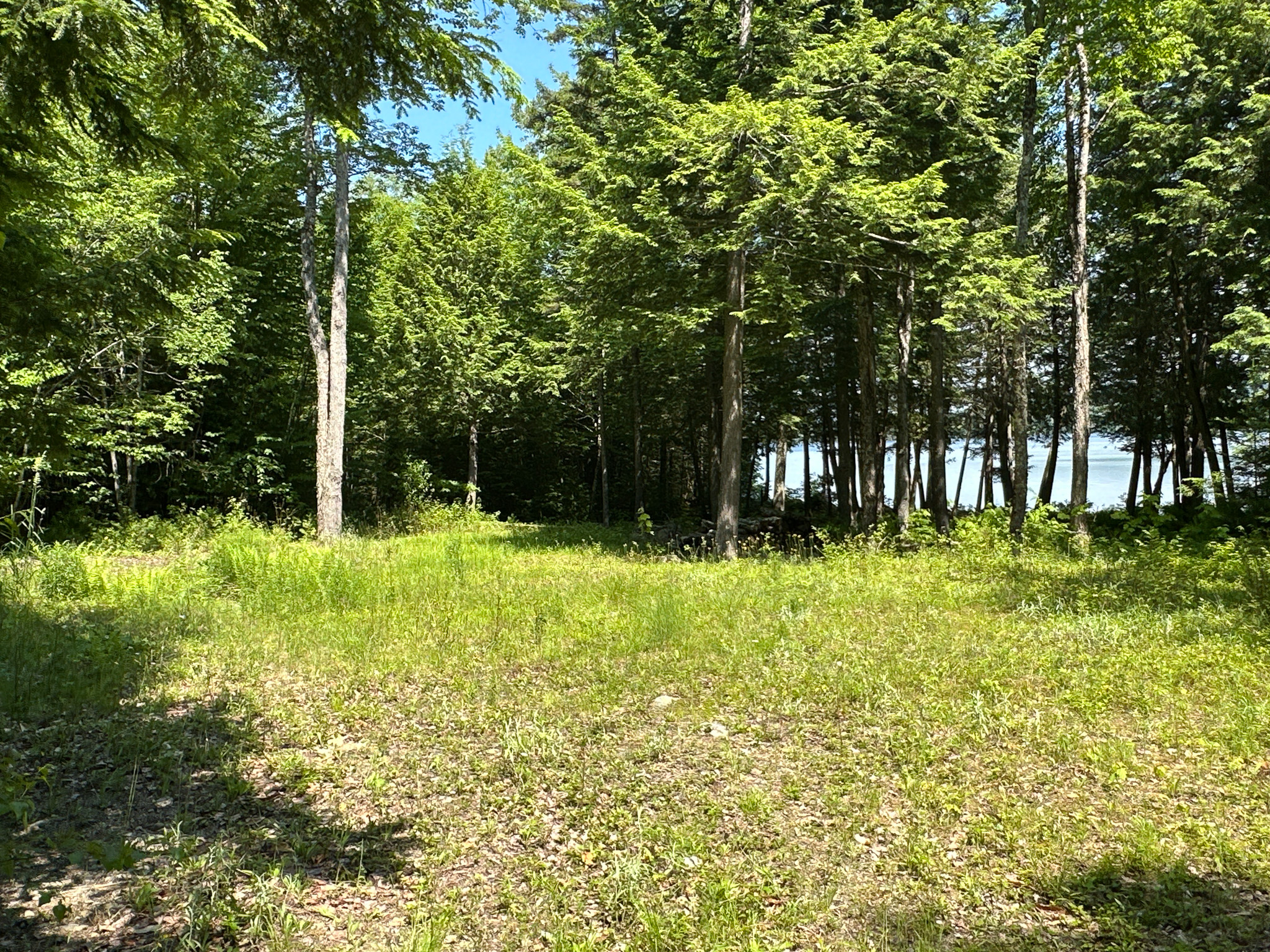 Lakefront Land for Sale – 12.52 Acres with 355 Feet of Shoreline