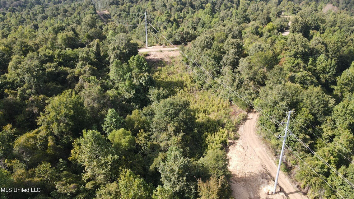 60 Acres For Sale In Yazoo County, MS