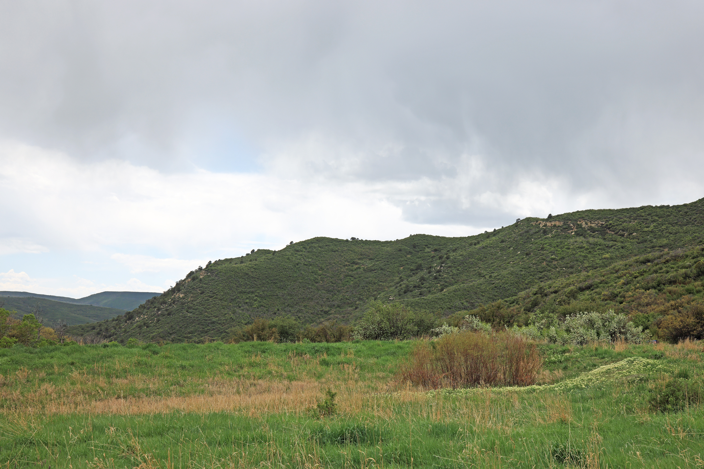 Colorado Recreation and Hunting Property