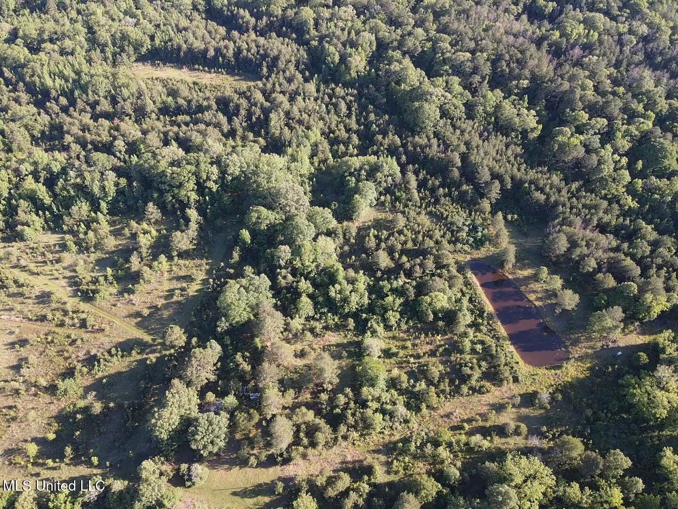 Great Homesite and Hunting Tract in Hermanville, MS